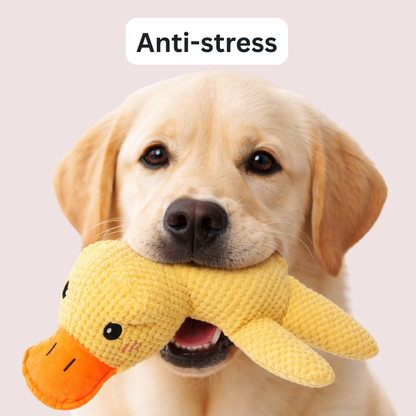 ZenDuck™ – Anti-Stress Ente