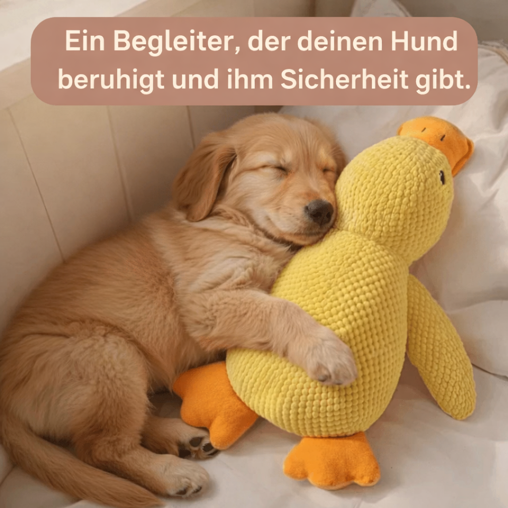 ZenDuck™ – Anti-Stress Ente