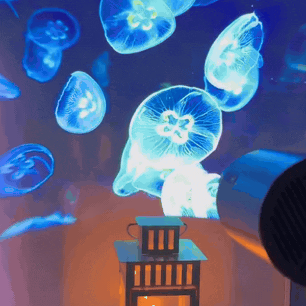 4K Pro Homecinema™