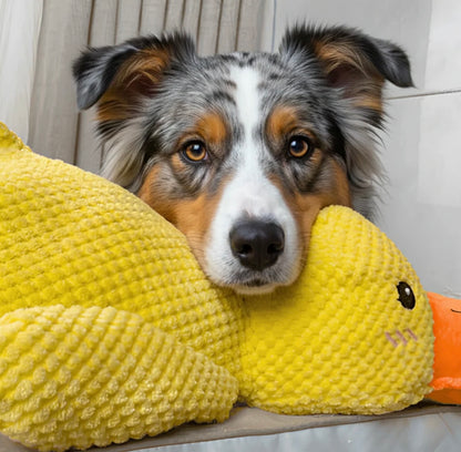 ZenDuck™ – Anti-Stress Ente