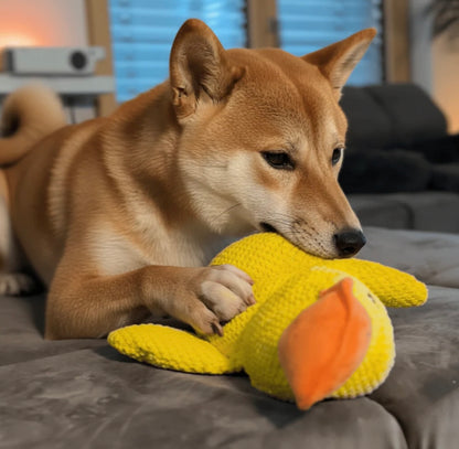 ZenDuck™ – Anti-Stress Ente