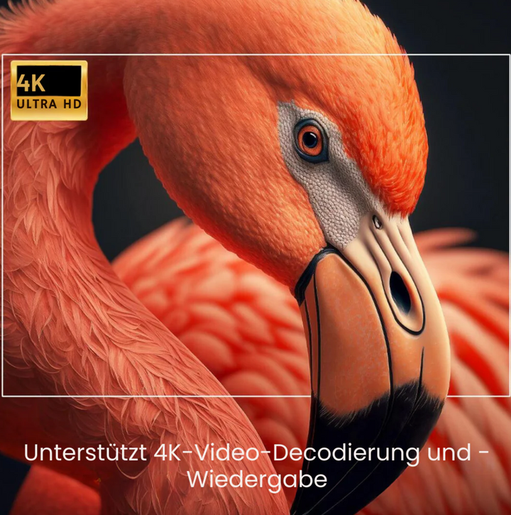 4K Pro Homecinema™